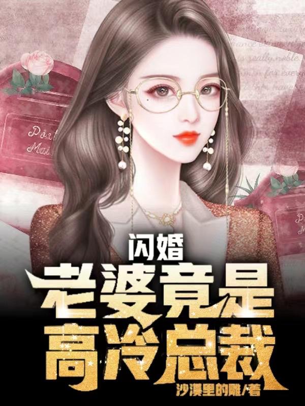 闪婚，老婆竟是高冷总裁